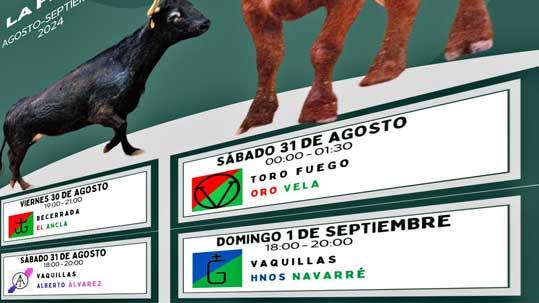 Cartel Toros La Feria